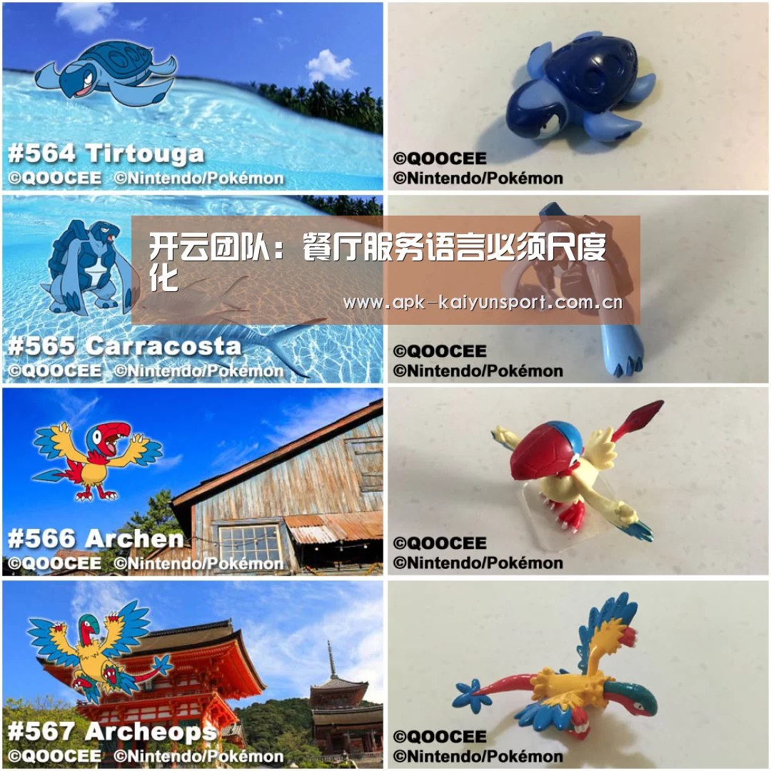 开云公司