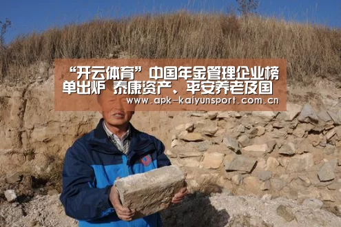 “开云体育”中国年金管理企业榜单出炉 泰康资产、平安养老及国寿养老位列前三(图3) 开云官方